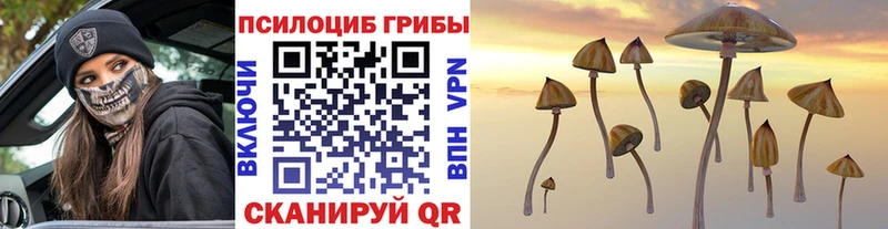 Купить закладки  Крым  Галлюциногенные грибы прущие грибы 